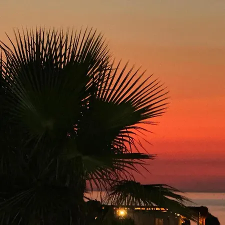 Saint Tropez Durres Bisht Kamez